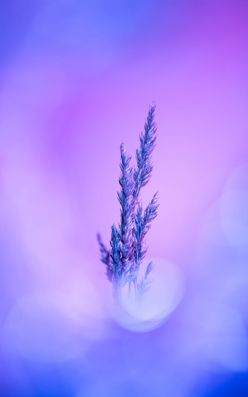 Three Ways to Self-Regulate When You Feel Overwhelmed